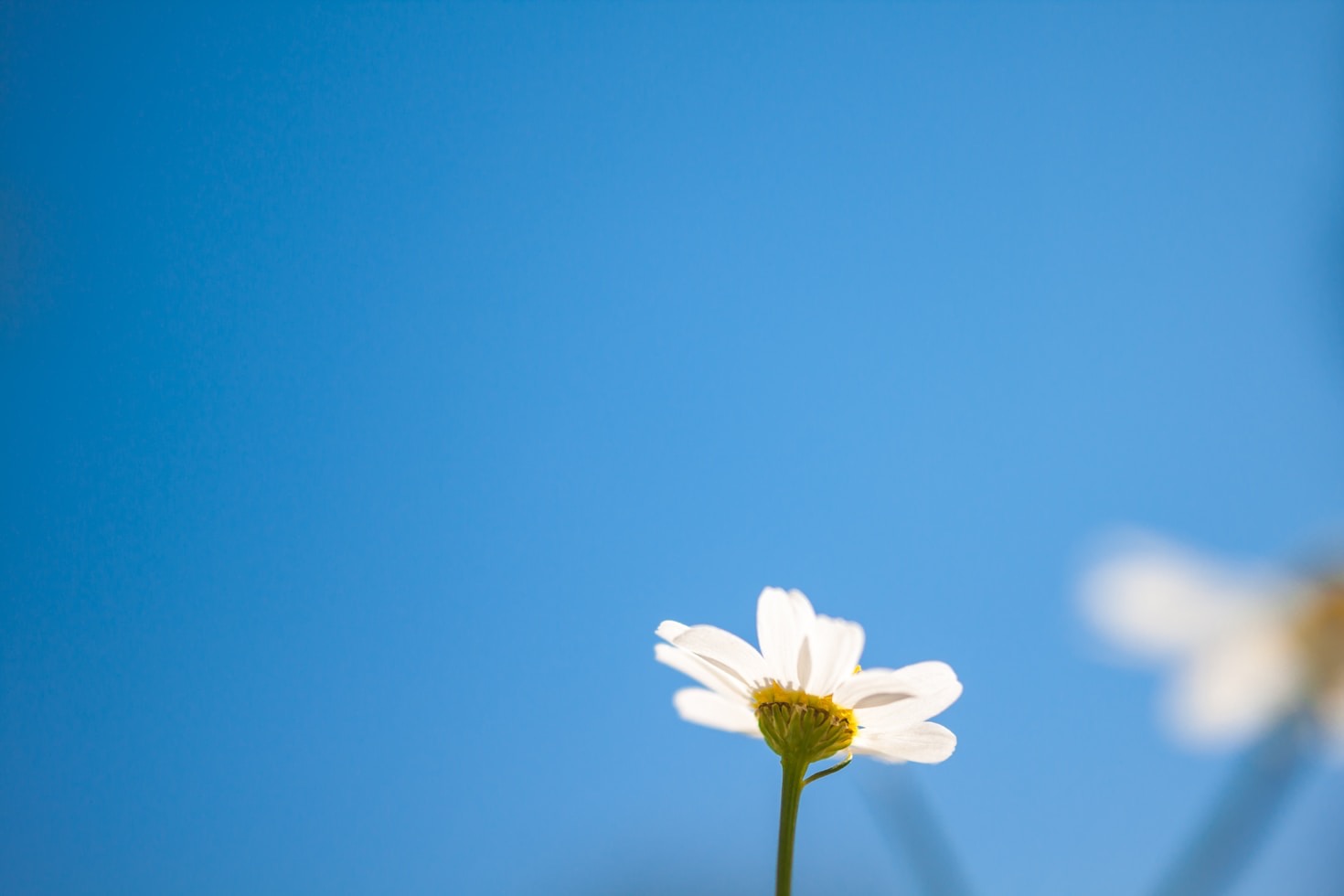 Wie man Studium und Gesundheit vereint